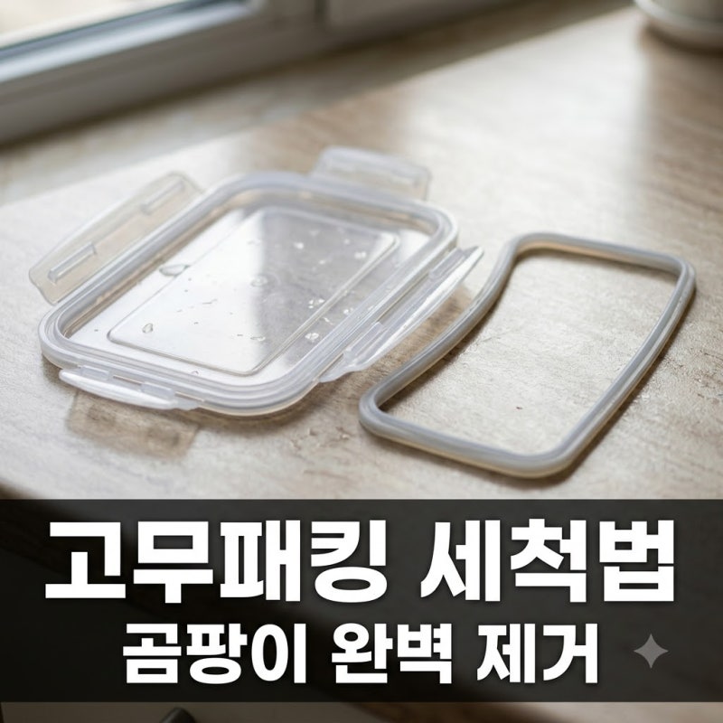 밀폐용기 고무패킹 안 빼고 씻으면 곰팡이 생겨요! 세척 및 관리법