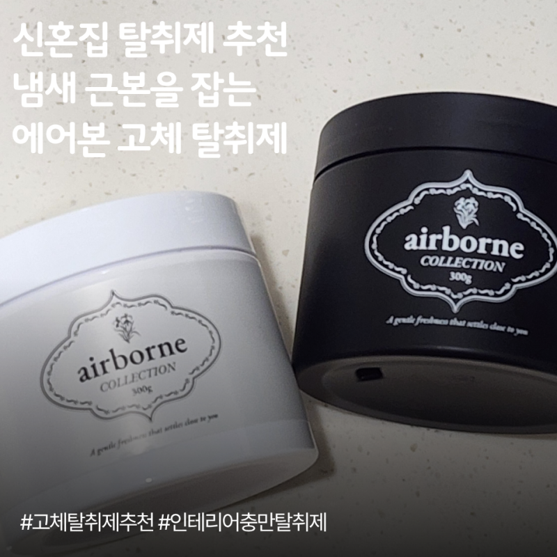 고체탈취제 추천 신혼집 이사 필수템 냄새 근본을 잡는 에어본 고체 실내용 탈취제 후기