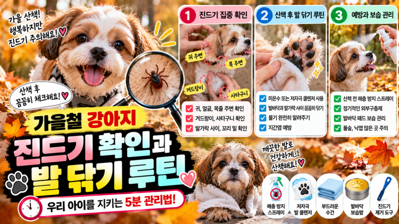 가을철 강아지 산책 후 진드기 확인법과 발 닦기 루틴 정리