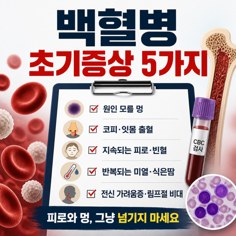 백혈병 초기증상 5가지 (원인 모를 멍 코피 혈액암 전조증상 자가진단)