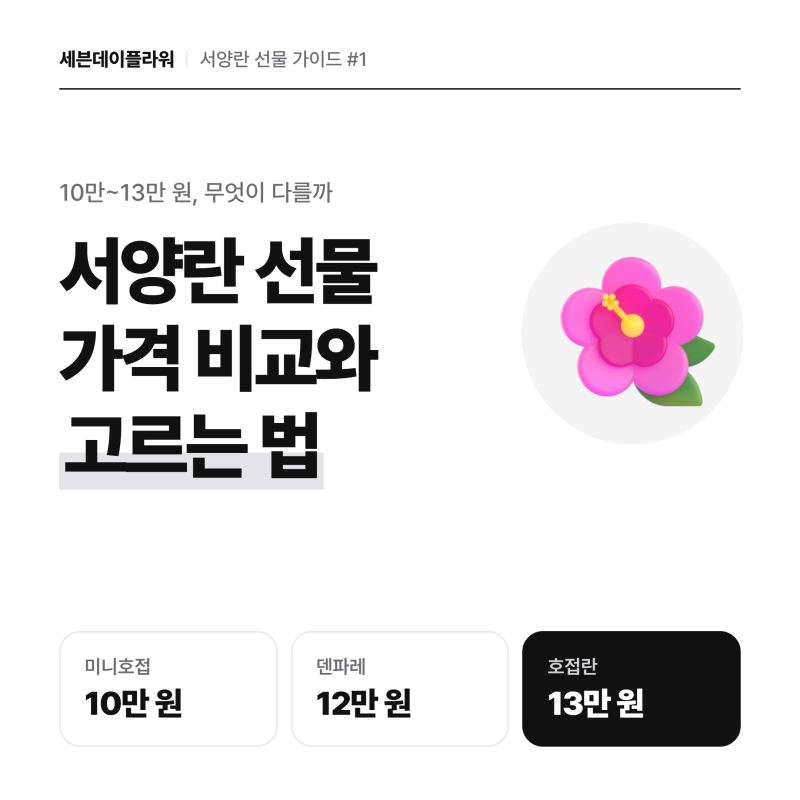 호접란 선물, 미니호접·덴파레 가격 비교와 고르는 법