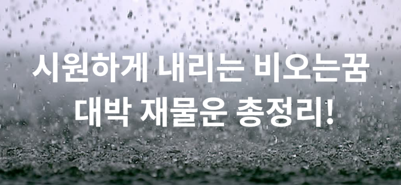시원하게 내리는 비오는꿈 대박 재물운 총정리!