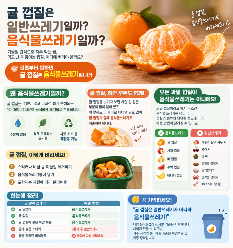 귤 껍질은 음식물쓰레기일까? 일반쓰레기일까? 헷갈리는 분리배출 총정리