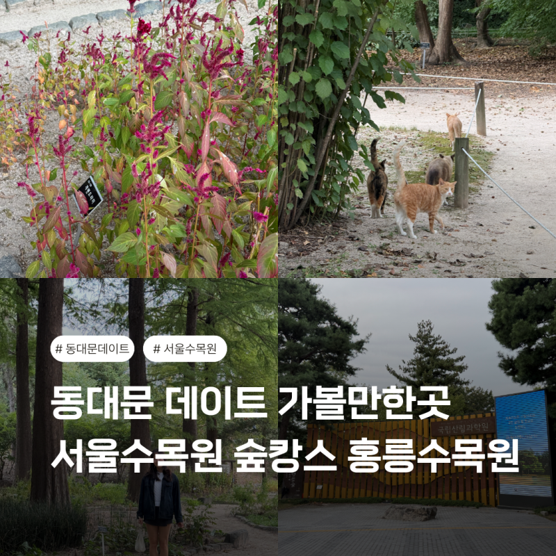 동대문 데이트 가볼만한곳 서울수목원 숲캉스 홍릉수목원