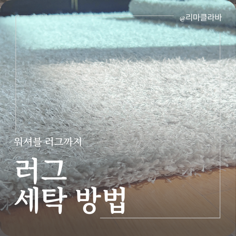 러그 세탁 방법부터 관리하기 쉬운 워셔블 러그까지