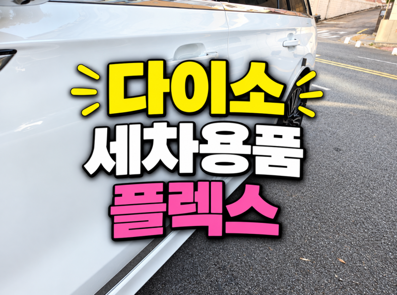 다이소에서 세차용품 7만원 플렉스한 남편, 그런데..