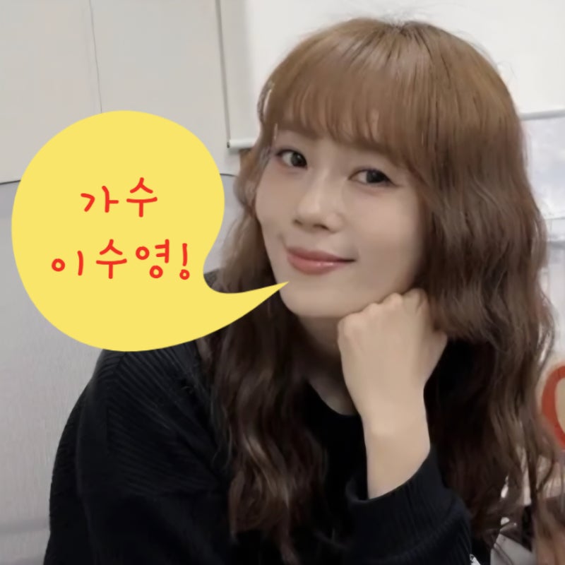 이수영 아들 백혈병 라디오 하차 ! 가수 나이 자녀 자식 남편 부모님 인스타 나무위키