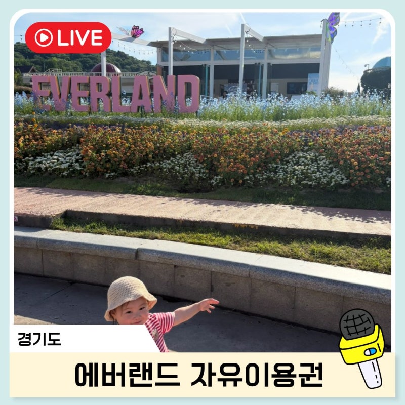 에버랜드 자유이용권 할인 와일드 사바나 사파리 할로윈 블러드시티 큐패스