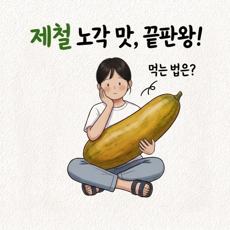 "노각은 늙은 오이가 아니라고?" 노각 제철 먹는법 노각무침 오이 차이 절이기