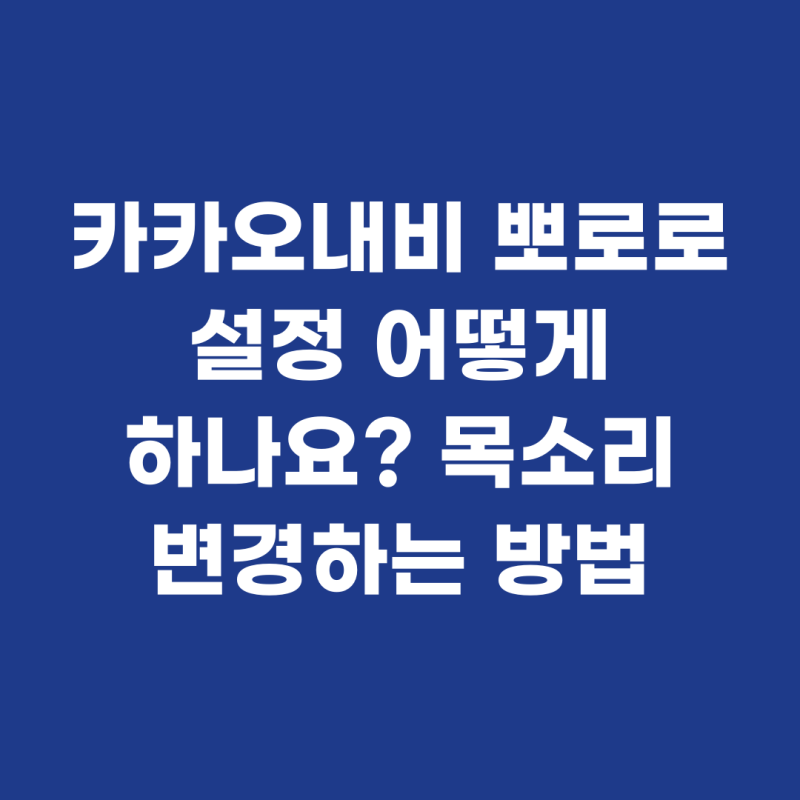 카카오내비 뽀로로 설정 어떻게 하나요? 목소리 변경하는 방법