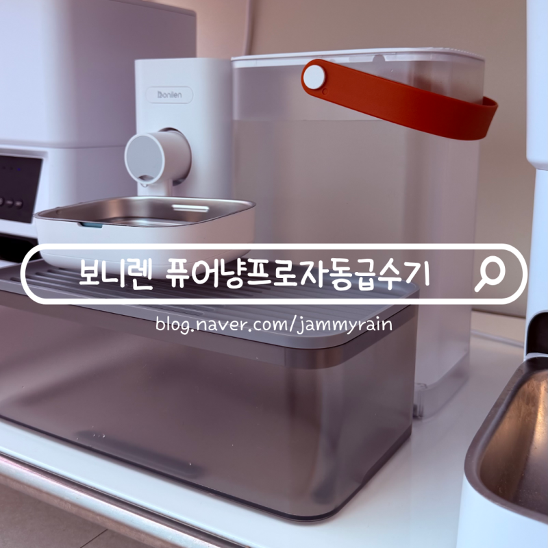 외출 많은 집을 위한 무필터 강아지 자동급수기 보니렌 퓨어냥프로 솔직후기