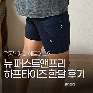 편안함을 잊을 수 없는 레깅스. 룰루레몬 뉴 패스트앤프리 하프타이즈 한달후기.