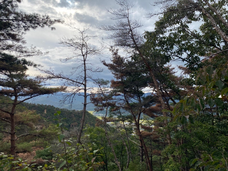 경주 남산 등산 삼릉 초보자코스 버스시간표 주차정보 화장실꿀팁