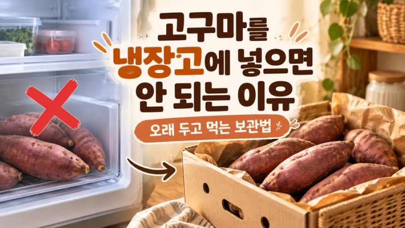 고구마를 냉장고에 넣으면 안 되는 이유, 오래 두고 먹는 보관법