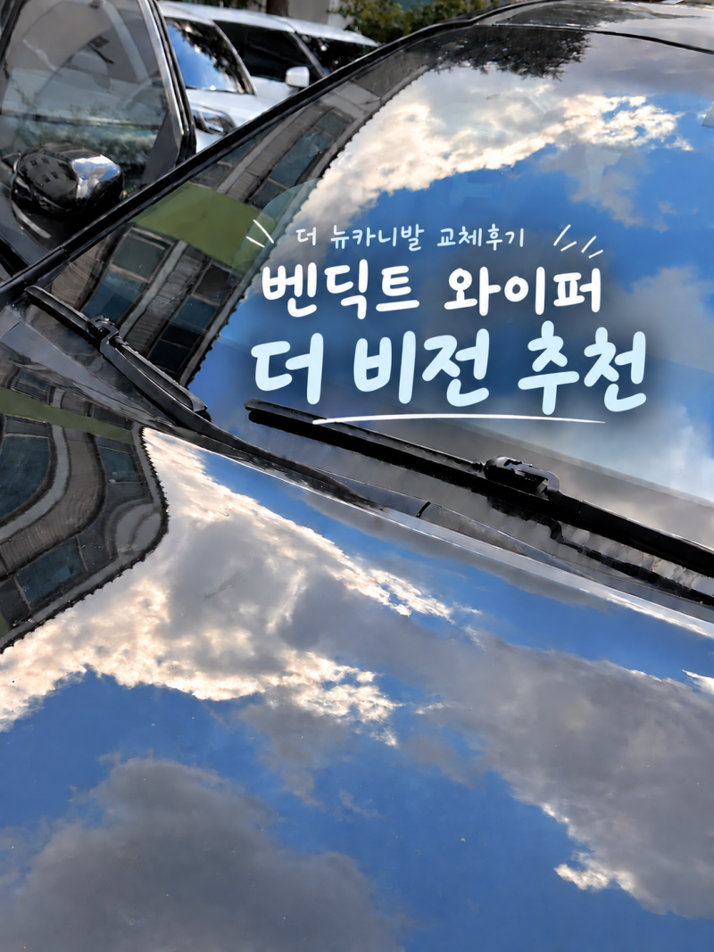 더 뉴 카니발 벤딕트 와이퍼 더 비전 추천｜발수코 블레이드 교체 방법