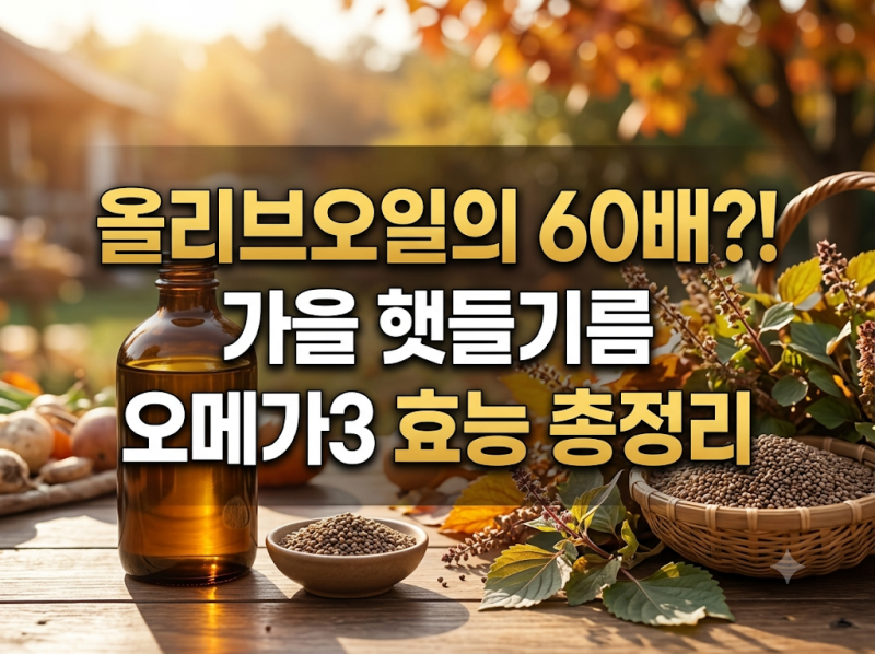올리브오일보다 좋다고? 가을 햇들기름 효능, 오메가3부터 하루 섭취량까지