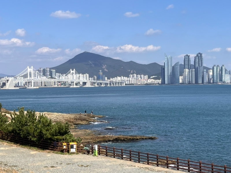 [부산 가볼만한곳] 파도 소리 들으며 걷는 이기대 해안산책로 & 쏘리낫쏘리 커피 완벽 방문기