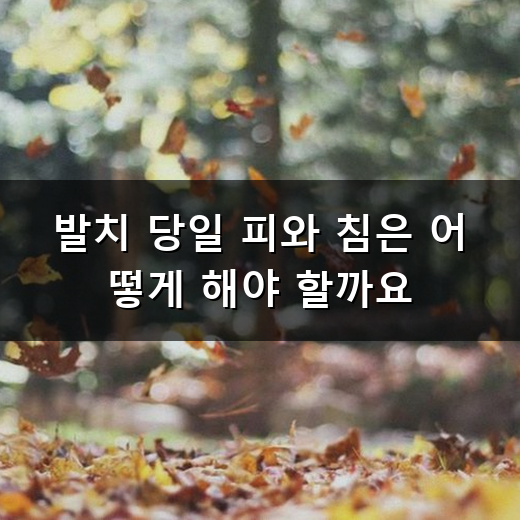 사랑니 발치 후 피가 멈추지 않을 때 대처법과 주의사항