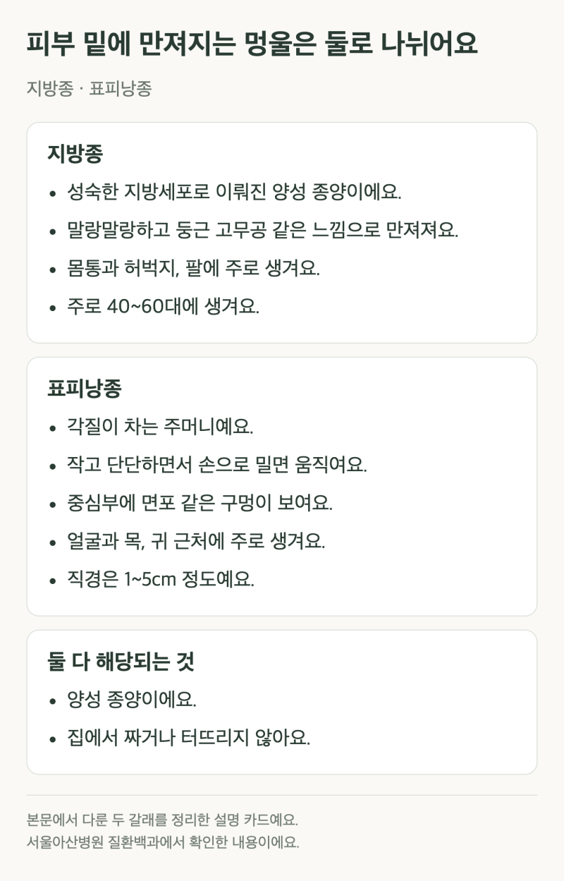 지방종 표피낭종 차이, 말랑한 멍울과 단단한 멍울은 뭐가 다를까?