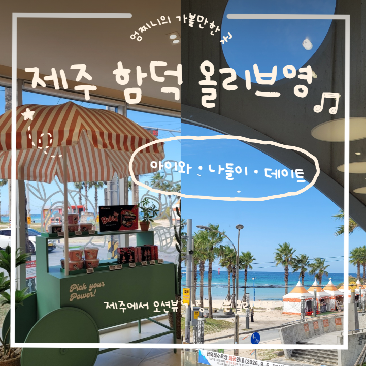 [제주 함덕해수욕장] 오션뷰 가장 예쁜 (올리브영). 루프탑 홀릭. 기념품 판매. 주차