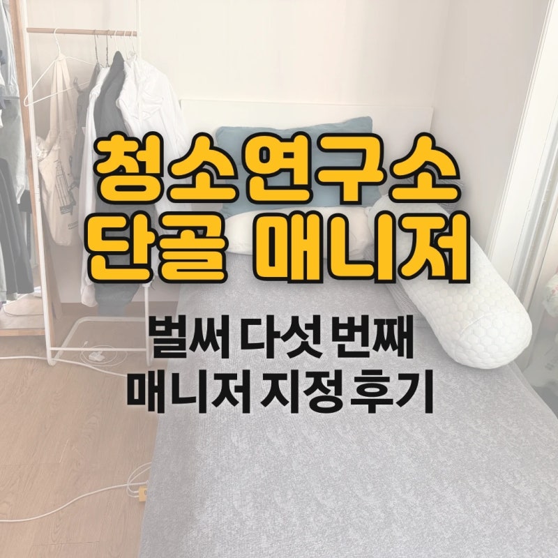 청소연구소 매니저 지정 후기, 가사도우미앱 다섯 번째 단골 집청소 2만원 할인