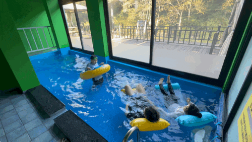 가평 포유 애견 동반 풀빌라펜션:: 산과 계곡을 바라보며 힐링. 수영도하고 보드게임하고 추....