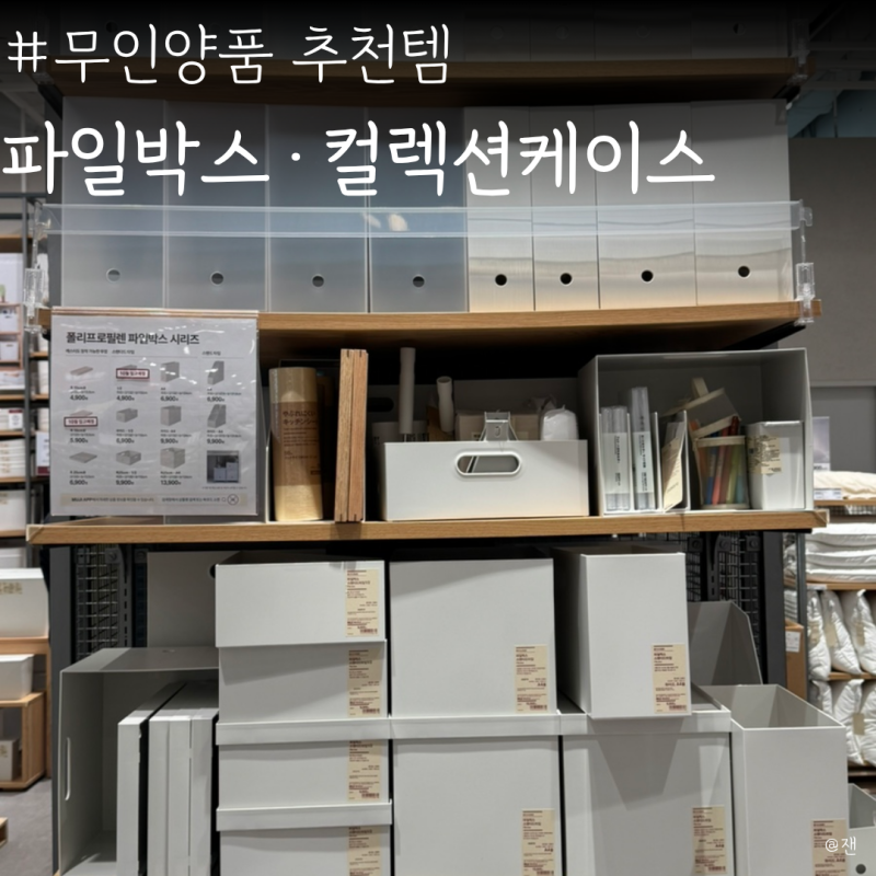 무인양품 파일박스 스탠다드, 카드 홀더까지 서류정리템 추천