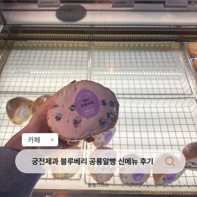 광주 궁전제과 블루베리 공룡알빵 신메뉴 현지인 후기