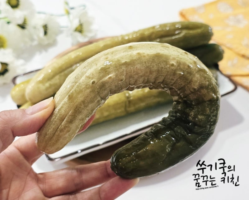 가을 오이지 보관법 물없이 오이지 담그는 법