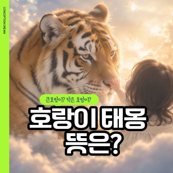 호랑이태몽 뜻 총정리, 큰 호랑이 새끼호랑이 상황별 꿈 해몽