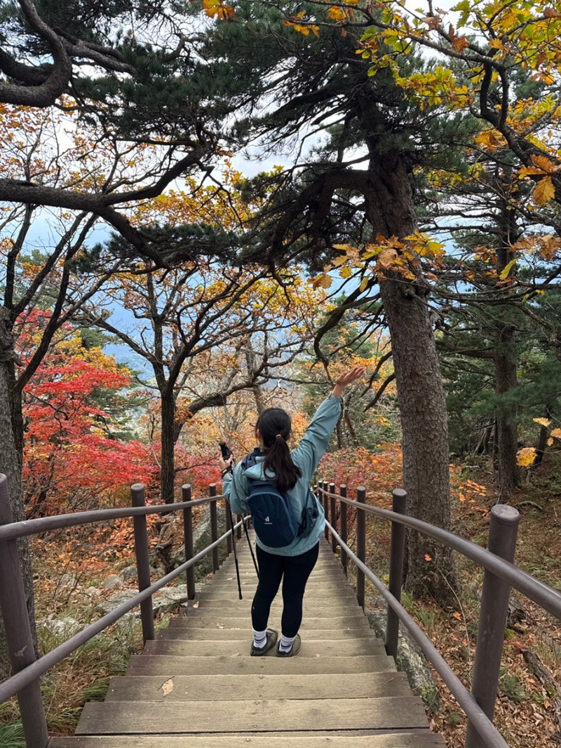 등산 초보 블랙야크 100대명산 설악산 대청봉 오색코스 | 주차 | 단풍