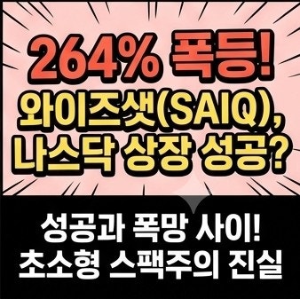 와이즈샛 스페이스(SAIQ) 하루 264%… 나스닥 재상장 다음에 생긴 일
