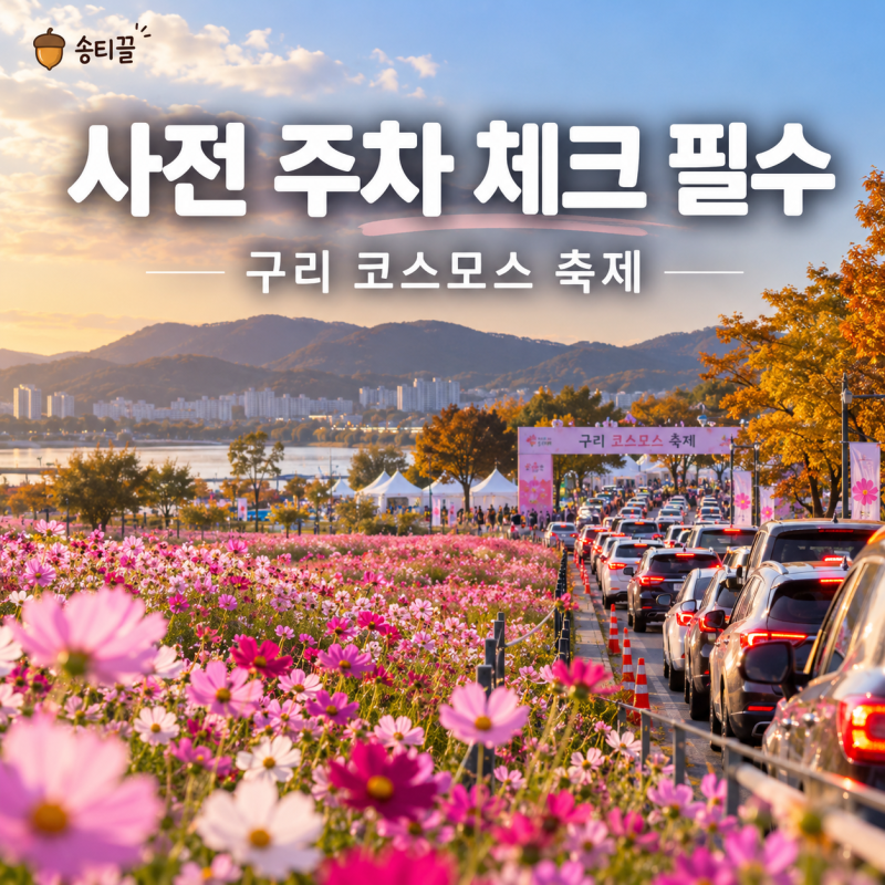 2026 구리 코스모스 축제 주차 반드시 체크하고 가세요｜신설주차장·마을버스·주차요금 총....