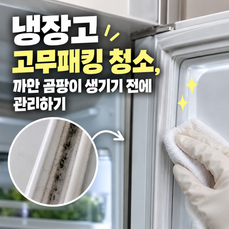 냉장고 고무패킹 청소, 까만 곰팡이 생기기 전에 관리하기