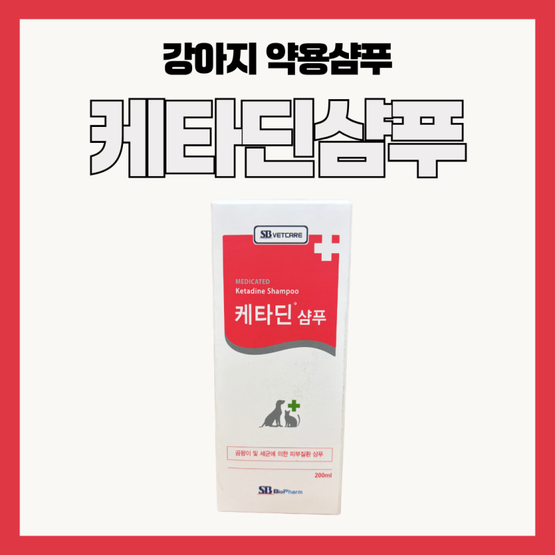 강아지 약용샴푸 케타딘샴푸, 곰팡이·세균성 피부질환 성분과 사용법