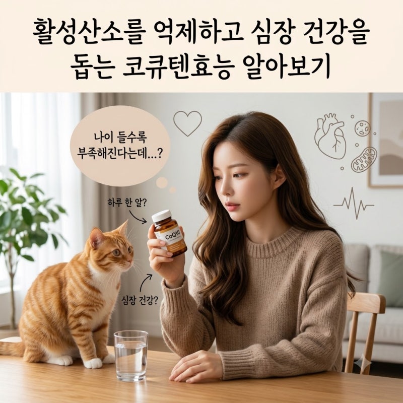 활성산소를 억제하고 심장 건강을 돕는 코큐텐효능 알아보기