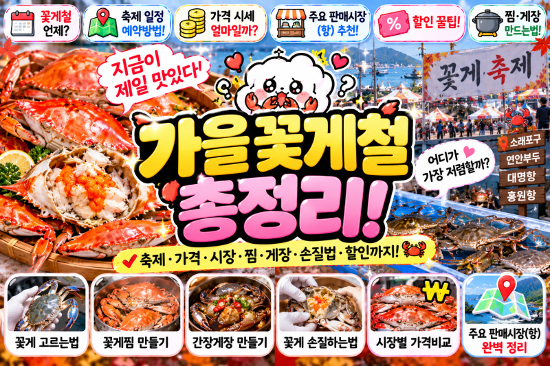 꽃게 지금 안 먹으면 후회?! 가을 꽃게철 축제부터 가격·시장·찜·게장까지 총정리