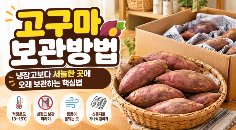 고구마 보관방법 냉장고에 넣어도 될까? 오래 보관하는 법
