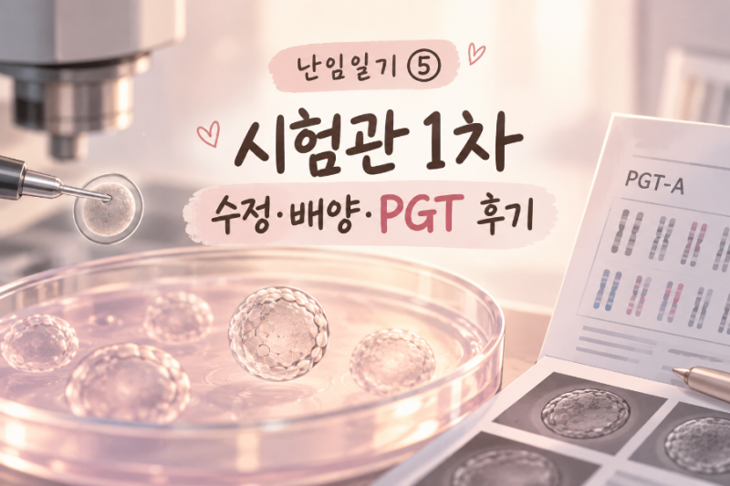난임일기 ⑤｜시험관 1차 수정·배양·PGT 후기