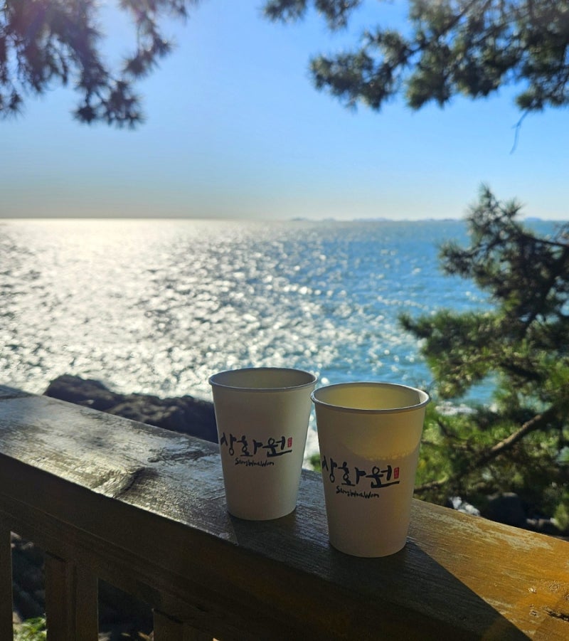 보령 가볼만한곳 죽도 상화원 후기, 바다따라 걷는 소나무 산책길 (관람일·입장료·주차)