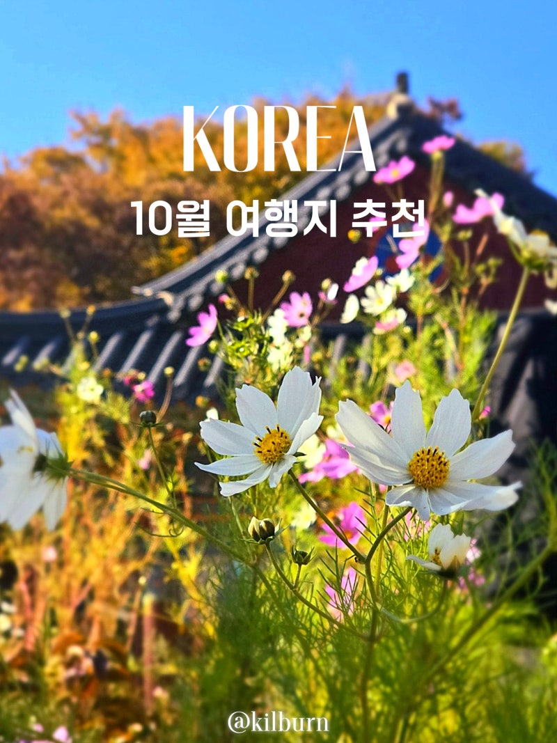 10월 국내 여행지 추천 서울근교 강화도 당일치기 가볼만한곳 best5