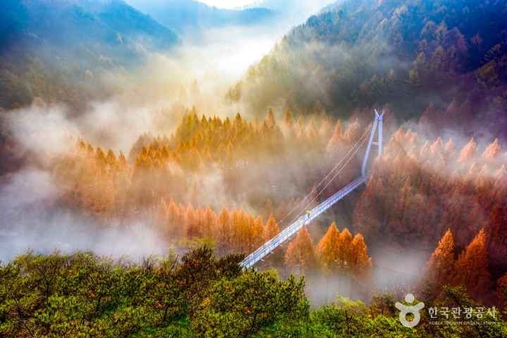 아이와 장태산자연휴양림 가을 여행, 주차 산책코스 정리