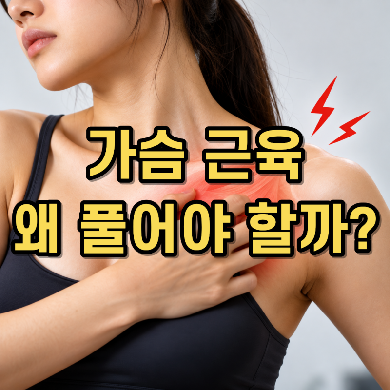 가슴, 어깨, 목 통증 뻐근함 해결 방법 스트레칭 운동 흉곽출구증후군 행신동 헬스 PT