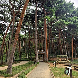 태안 안면도자연휴양림, 안면도수목원, 안면도산림전시관 조금 지루했던 방문 후기.