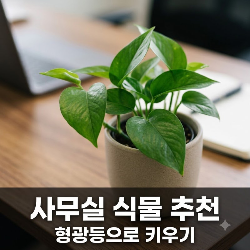 사무실 책상 식물 형광등만으로 가능할까? 추천 식물 5가지