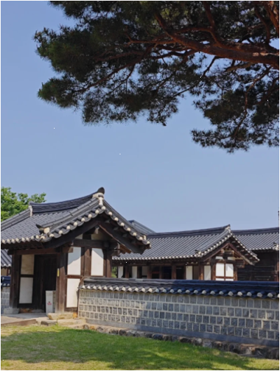 가정용적외선조사기 고르기 전 꼭 알아야 할 5가지