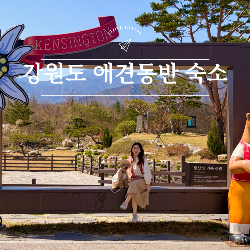 강원도 고성 애견동반 숙소 부모님과 함께 방문하기 좋은 리조트