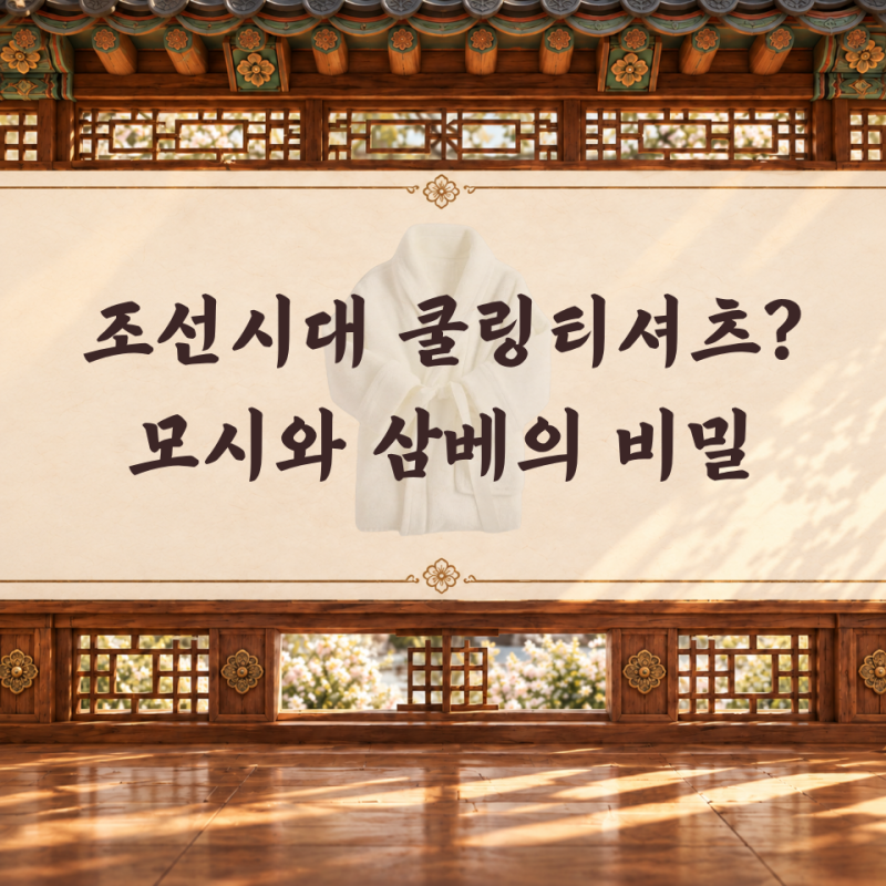 "한여름에도 긴 옷?" 조선시대 사람들은 모시와 삼베로 어떻게 버텼을까?