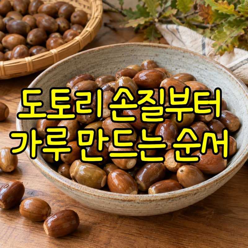 도토리가루 만드는 방법 주운 도토리 손질부터 말리는 과정