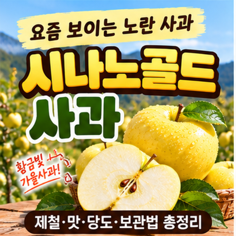시나노골드 사과 제철 시작｜황금사과 맛·당도·보관법 총정리